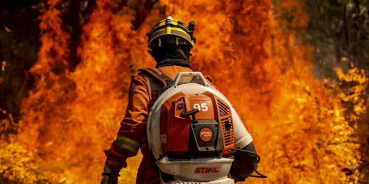El Niño leva STF a cobrar plano contra incêndios na Amazônia Legal