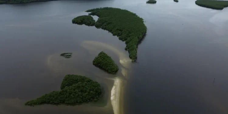 Carbono azul ganha espaço na agenda climática dos oceanos