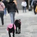 Semana começa com frente fria e chance de tempestade no Sul do País