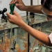 Projeto abre espaço para público conhecer habitat dos cavalos marinhos